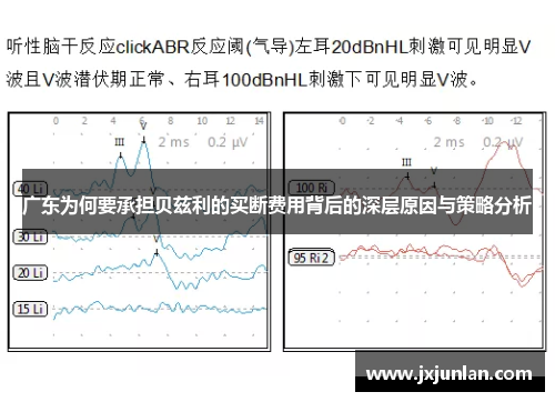 广东为何要承担贝兹利的买断费用背后的深层原因与策略分析